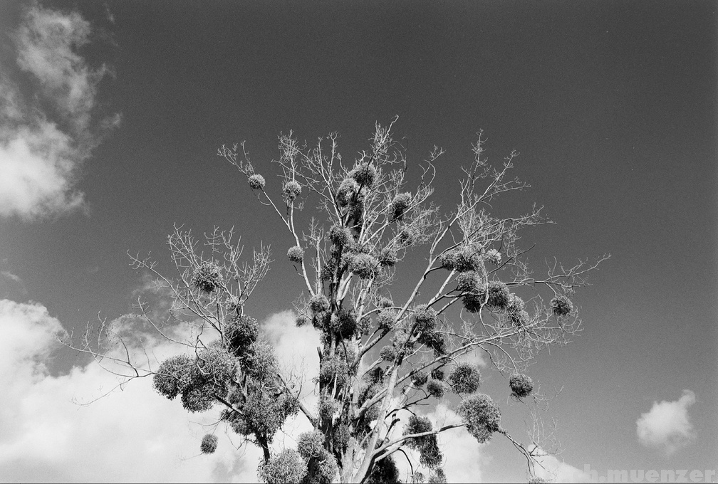P1330162 1