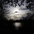 DSC08560