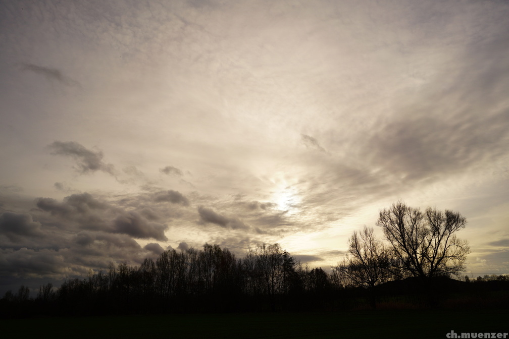 DSC08658 (3103 visits) DSC08658