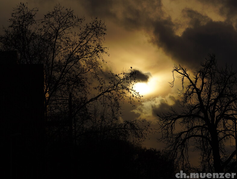 DSC08673_1.JPG