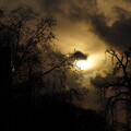 DSC08673 1