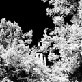 P1199469
