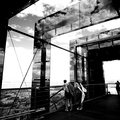P1199495
