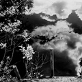 P1199254